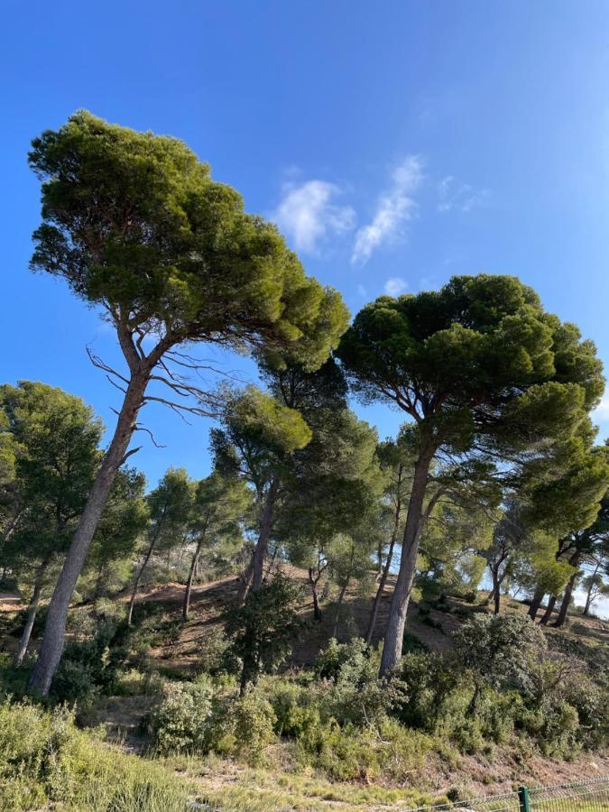 Le Mas Angelou Maussane-les-Alpilles Exterior foto